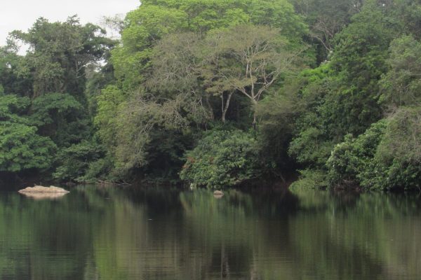 Gola forest National Park